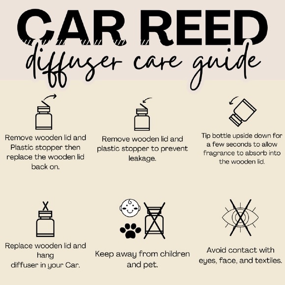 Car diffuser - Picture 4 of 4